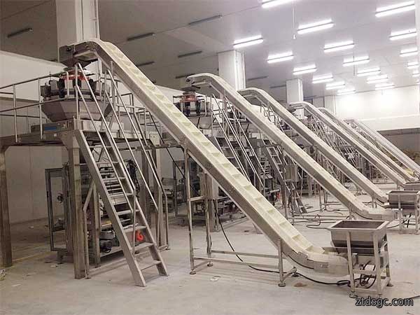 智能化全自动速冻食品包装机提升企业生产效率